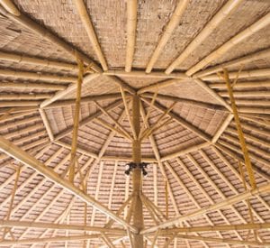 Palapas, Synthetic and Bamboo