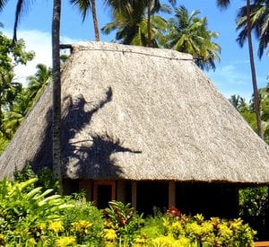Palapas, Tahitian Style